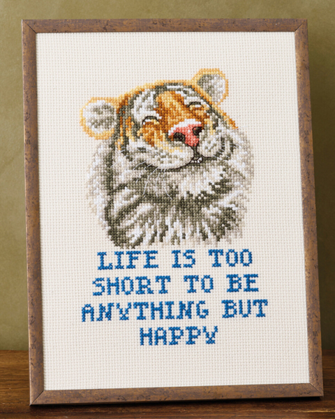 Kit de Broderie Anything R5799 18 x 24 cm