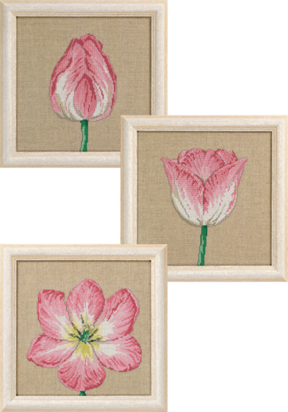 Kit de broderie Tulipes en phases 3 x 25 x 25 cm