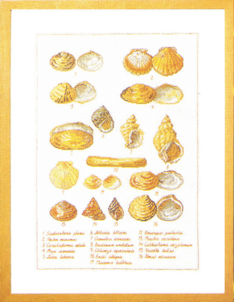 Kit de broderie Coquilles 41 x 56 cm 5676