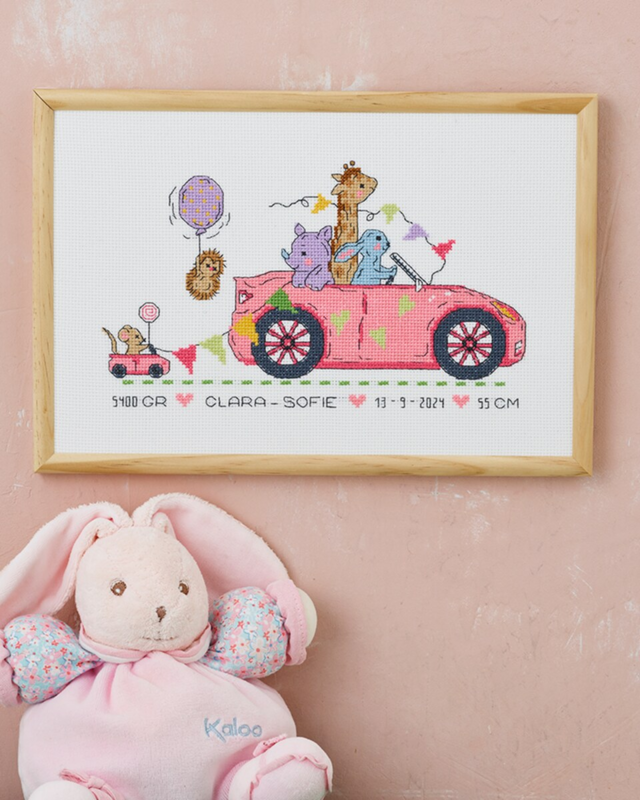 Kit de Broderie Clara-Sofie R5799 30 x 20 cm
