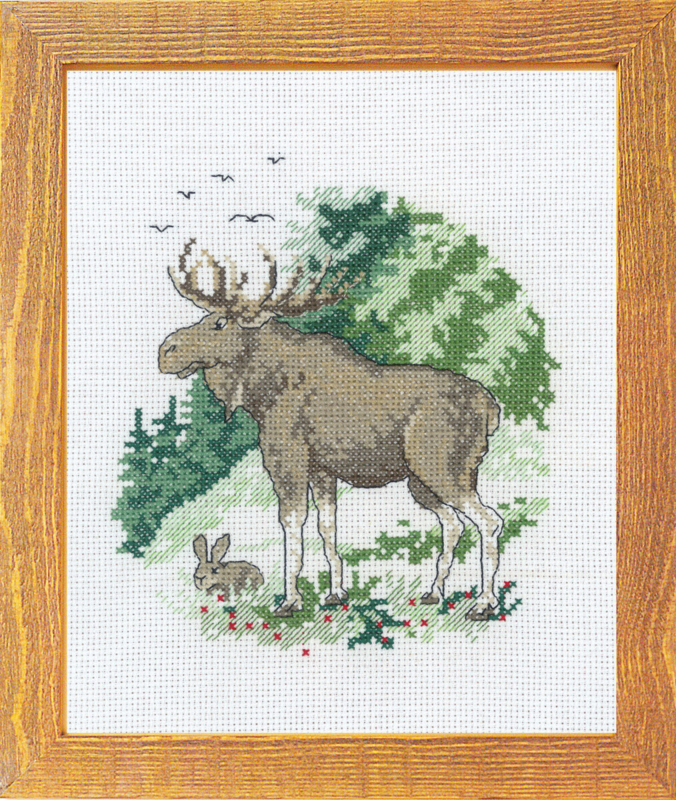 Kit de Broderie Élan 15 x 20 cm