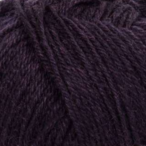 Mayflower 1 Class 5 Petits dis