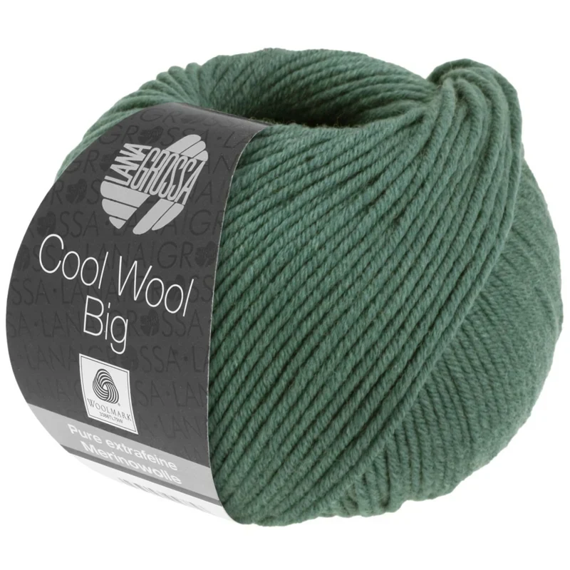 Cool Wool Big 1004 Vert mousse