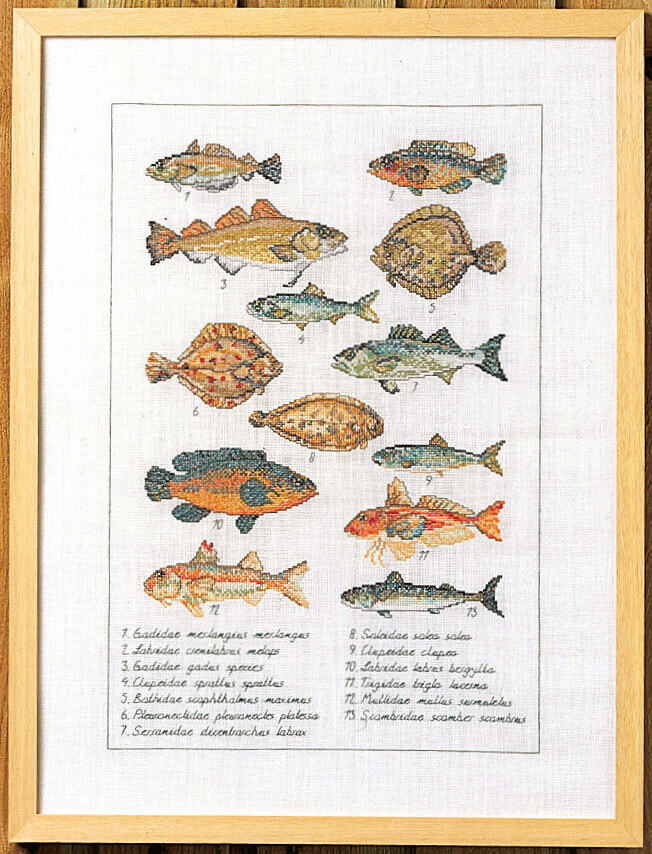 Kit de Broderie Poisson 41 x 56 cm 5676