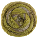 Lana Grossa Gomitolo Gala 4034 Gris violet/olive foncé-/clair/vert citron