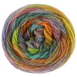Lana Grossa Colorissimo 224 Bruyère/Pistache/Vert printemps/Brun/Pétrole/Jaune/Orange/Bleu/Rouille/Beige/Prune