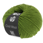 Lana Grossa Cool Wool 471 Vert tilleul