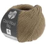Cool Wool Big 1011 Brun gris