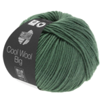 Cool Wool Big 967 Vert réséda