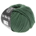 Cool Wool Big 967 Voyage vert
