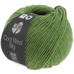 Cool Wool Big 1634 Vert chiné