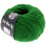 Cool Wool Big 939 Vert foncé