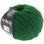 Cool Wool Big 949 Vert bouteille