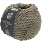 Cool Wool Big 1621 Brun gris chiné