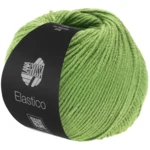 Lana Grossa Elastico 167 Vert pois