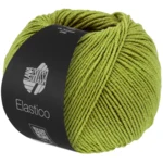 Lana Grossa Elastico 202 Pistache
