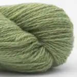 Bio Shetland 11 Vert Tilleul