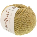 Lana Grossa Landlust Soft Tweed 90 34 Beige vert chiné