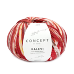 Katia Concept Kalevi Socks 204 Rouge-Brun-Jaune-Rouge rouille