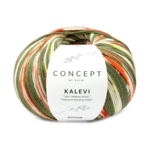 Katia Concept Kalevi Socks 203 Kaki-Orange-Jaune