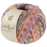 Lana Grossa Landlust Die Sockenwolle 826 Pêche/Violet/Vert printemps/Violet/Gris/Crème/Terracotta