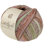 Lana Grossa Landlust die Sockenwolle Seide 332 Vert kaki/Beige/Violet/Rose/Pêche/Vert pâle rayé